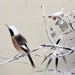 Seikun Uchida Gallery
